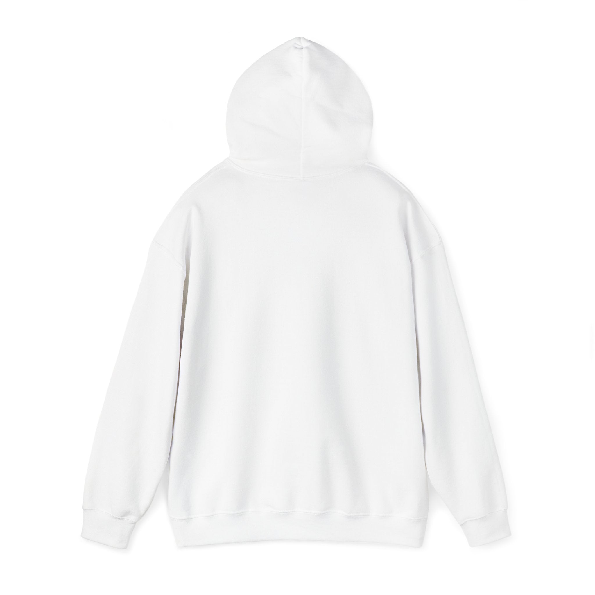 GOT CONNECTIONS - GOD'S OVER THIS_WHITE  Unisex Heavy Blend™ Hooded Sweatshirt